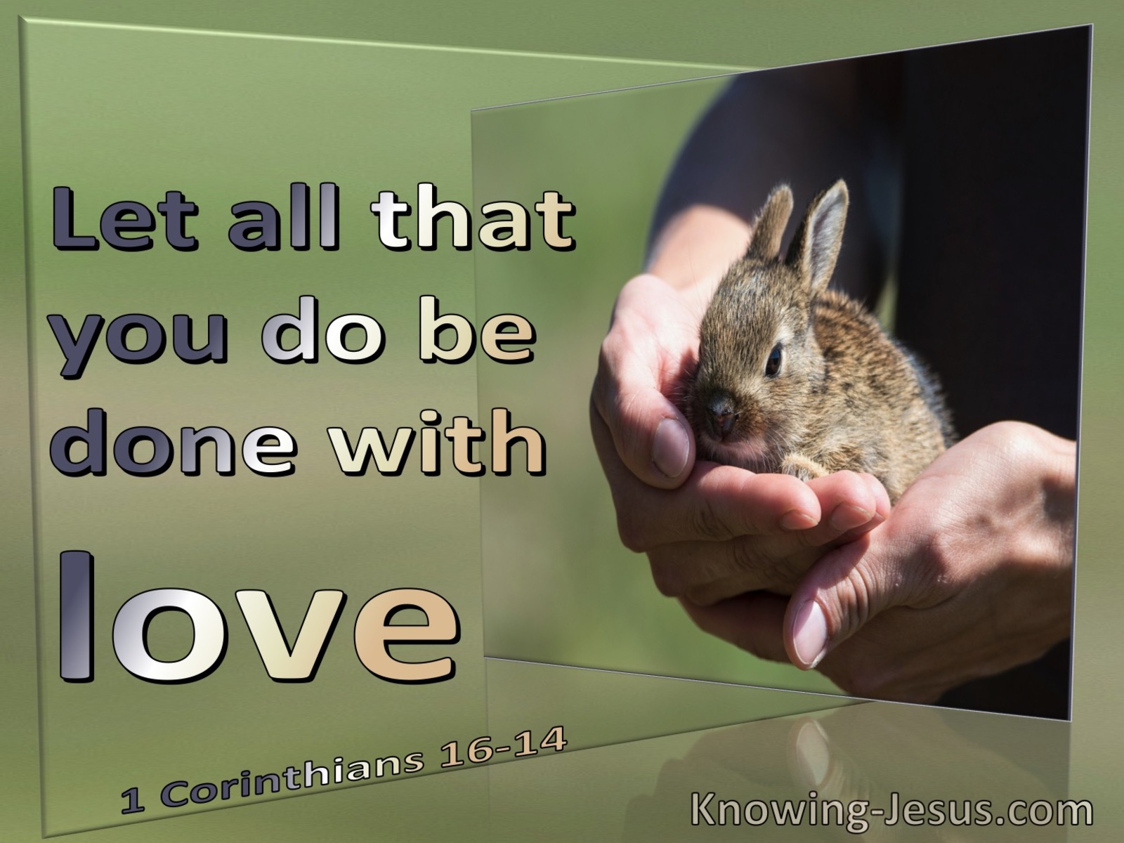 1 Corinthians 16:14 Let All You Do Be Done With Love (sage)